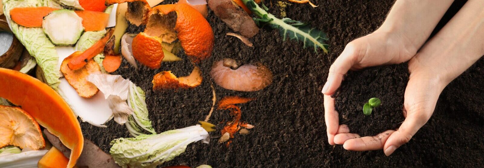 90 % de réduction de déchets organiques en 24 h en un vrai compost